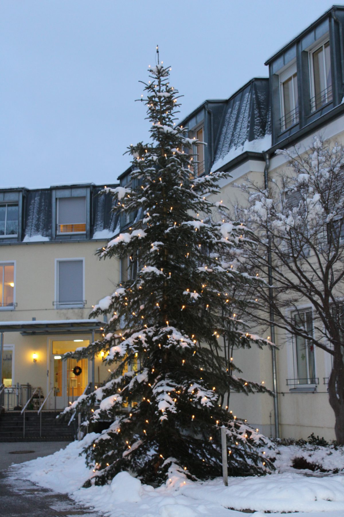 Unser allerschönster Tannenbaum