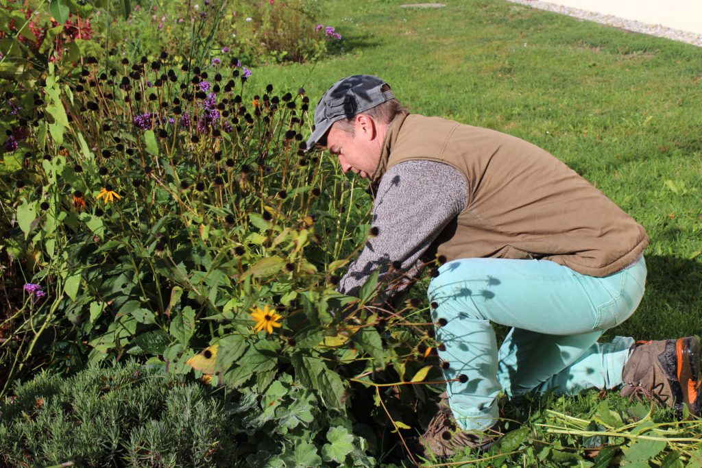 Garten im Herbst