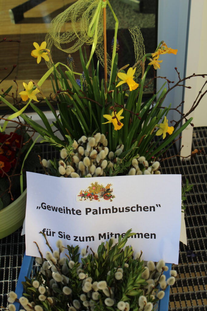 Palmbuschen